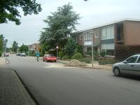 De Schildersbuurt - P. Potterstraat e.o., westzijde Berkenlaan