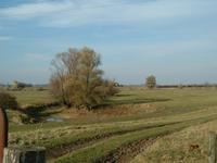 Landschap