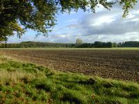 Buitengebied ten zuiden van de Voorsterallee