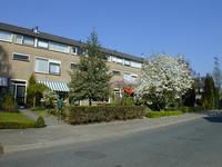 Woningen ten noorden van de Voorsterallee